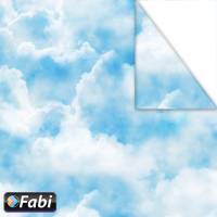 1455005 ������� 50�70�� �������